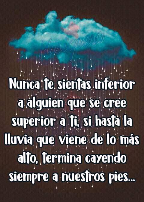 Nunca Te Sientas Inferior A Alguien Que Cree Superior - FRASES.PW