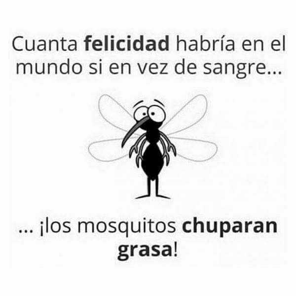 Cuanta felicidad habría en el mundo si en vez de sangre... ¡Los mosquitos chuparan grasa!