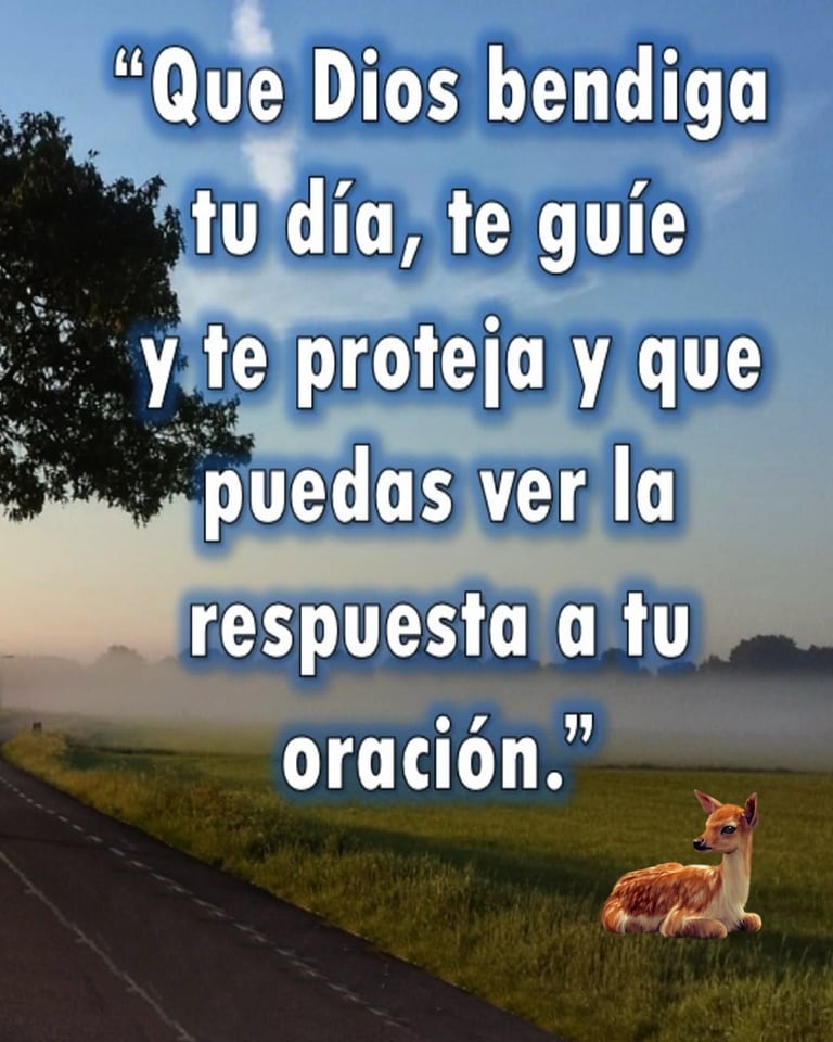 Que Dios bendiga tu día, te guíe y te proteja y que puedas ver la respuesta a tu oración