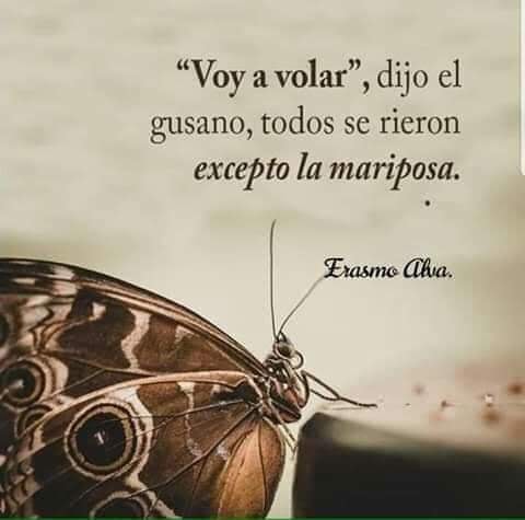 Voy a volar dijo el gusano, todos se rieron excepto la mariposa 