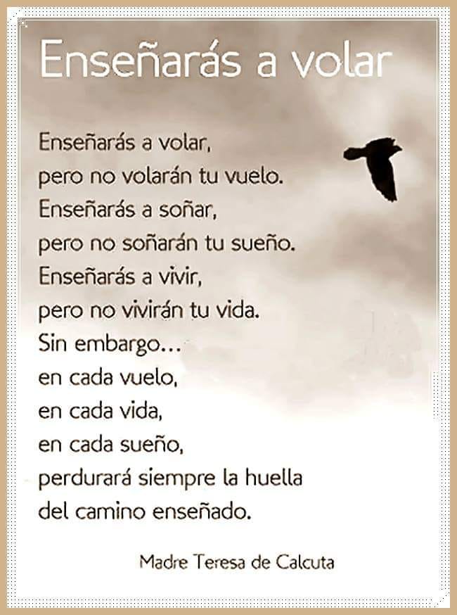 Enseñaras a volar pero no volar tu vuelo. Sin embargo… 