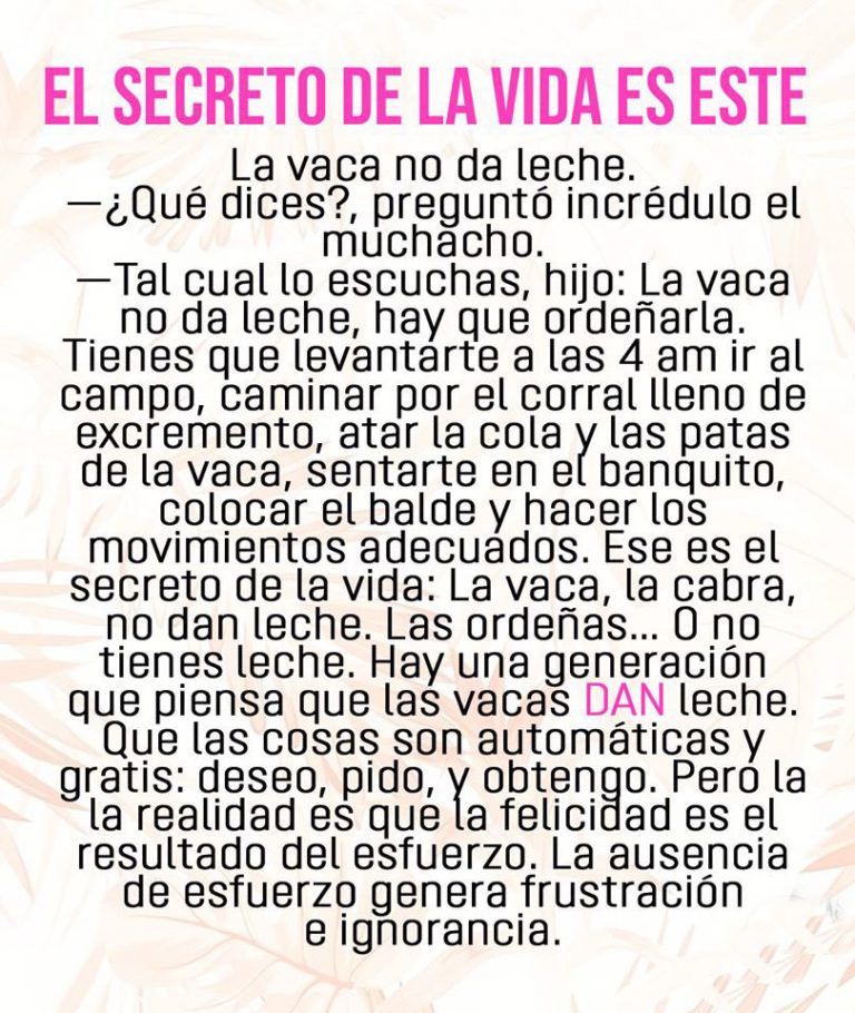 El Secreto De La Vida La Vaca No Da Leche