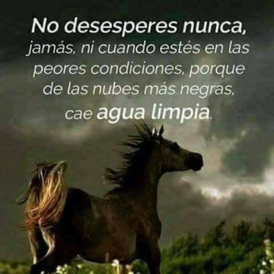 No desesperes nunca, jamás, ni cuando estés en las peores condiciones, porque de las nubes más negras, cae agua limpia.