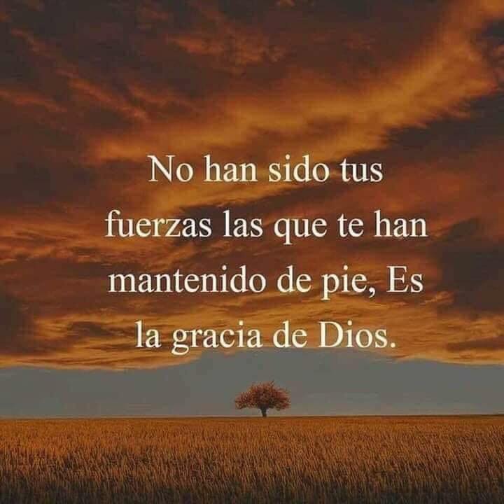 No han sido tus fuerzas las que te han mantenido de pie, es la gracia de Dios