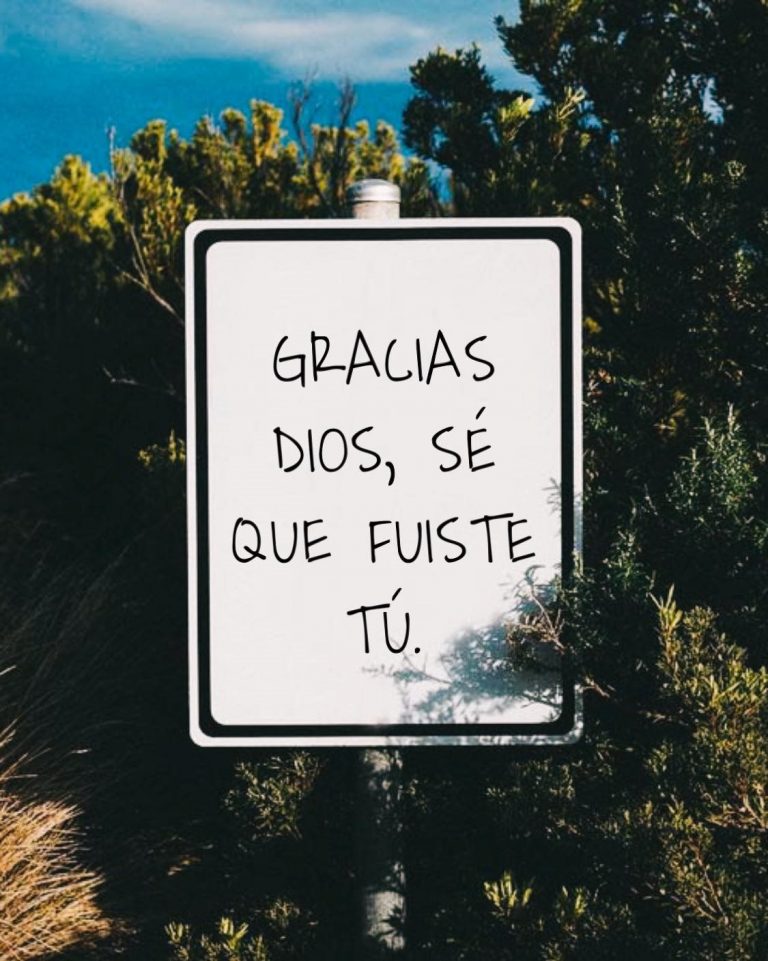 Gracias Dios, se que fuiste tú FRASES.PW