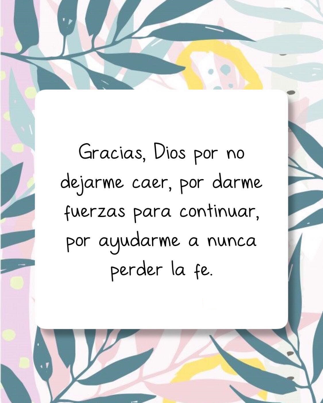 Gracias Dios por no dejarme caer, por darme fuerzas para continuar
