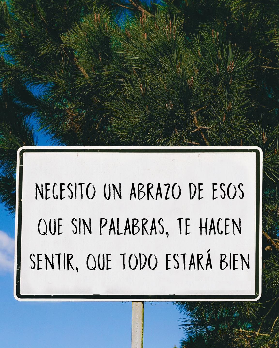 Necesito un abrazo de esos que sin palabras, te hacen sentir, que todo  estará bien 