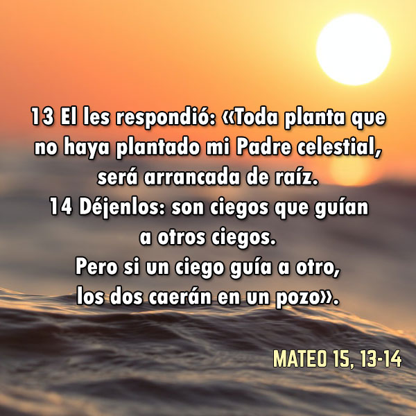 Mateo 15, 13-14: Toda planta que no haya plantado mi Padre celestial, será arrancada de raíz
