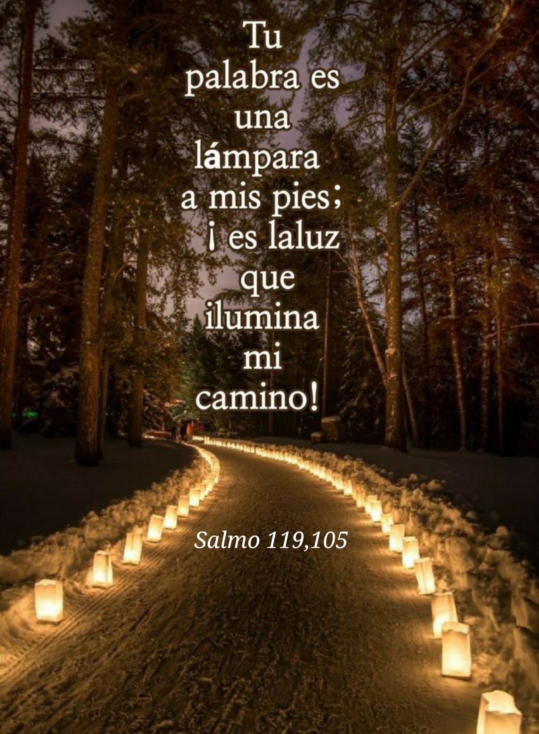 Tu palabra es una lámpara hacia mis pies: es la luz que ilumina mi camino Salmos 119,105