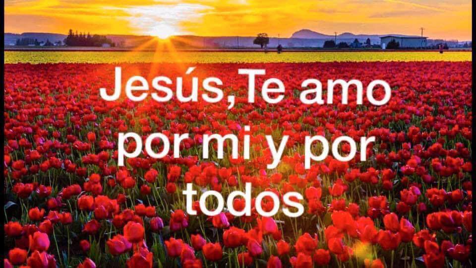 Jesús, te amor por mi y por todos