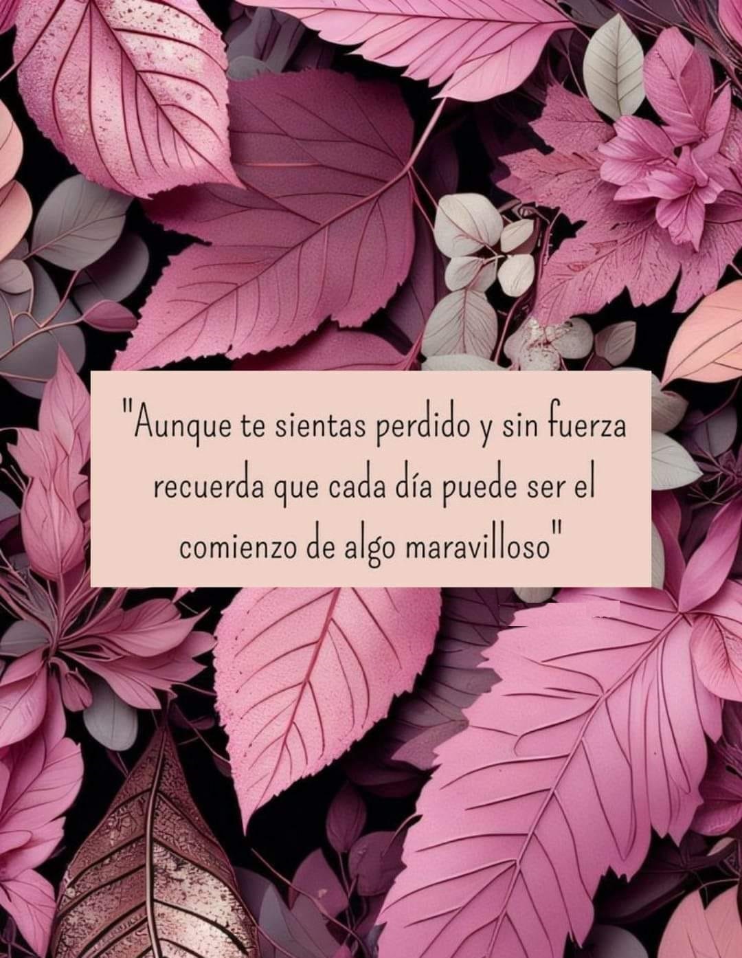 cada día puede ser el comienzo de algo maravilloso