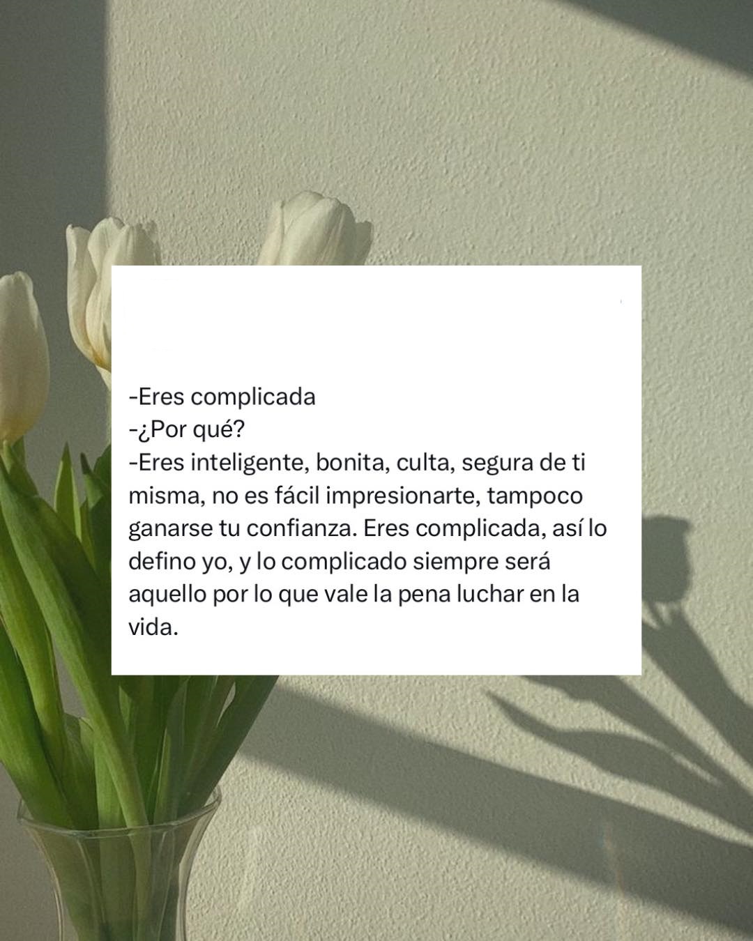 Eres complicada-¿Por qué? -Eres inteligente, bonita, culta, segura de ti misma