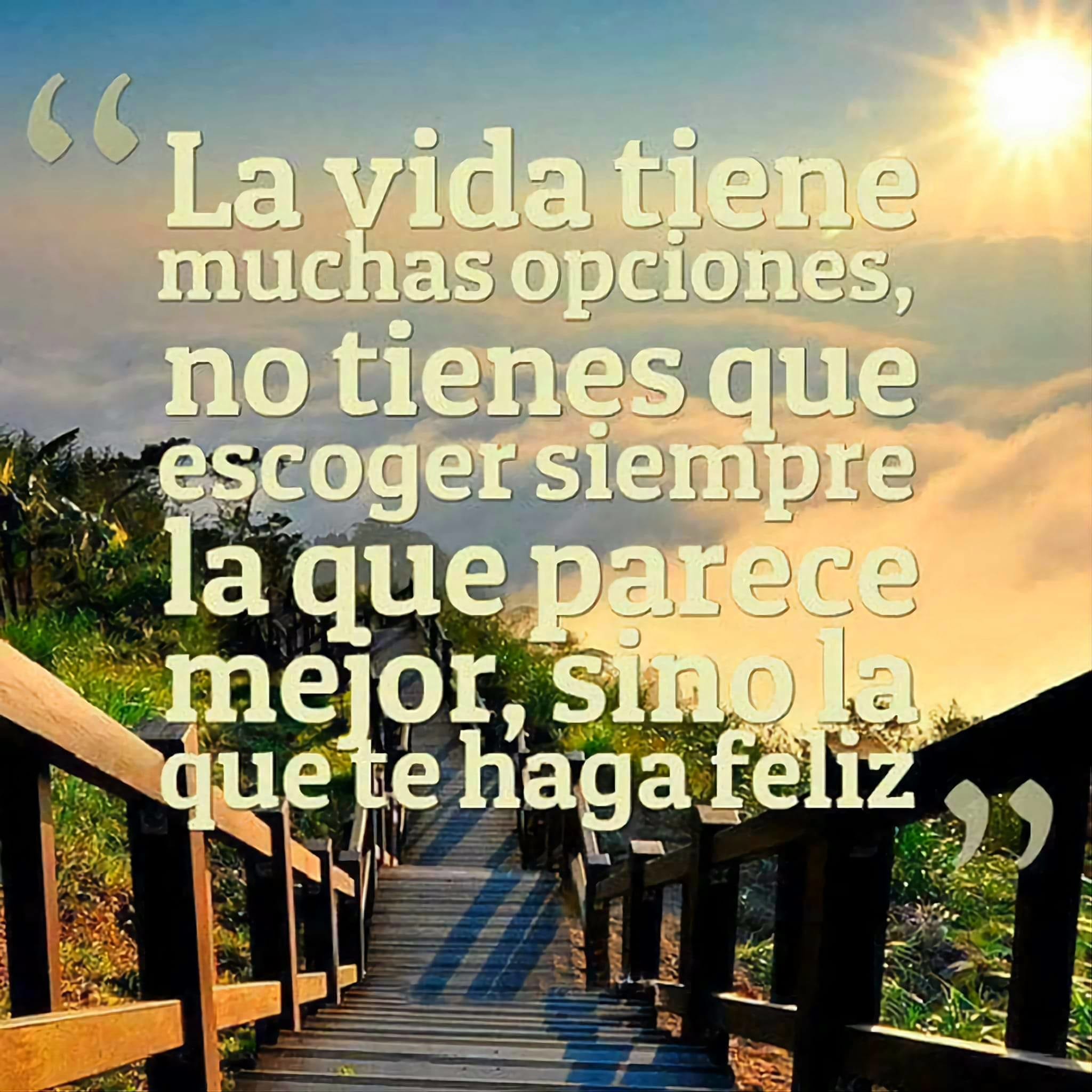 La vida tiene muchas opciones, no tienes que escoger siempre la que parece mejor