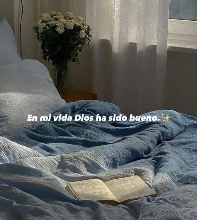 En mi vida Dios ha sido bueno. ✨🙏