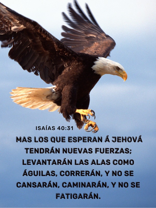 Isaías 40:31 Más lo que esperan a Jehova tendran nuevas fuerzas