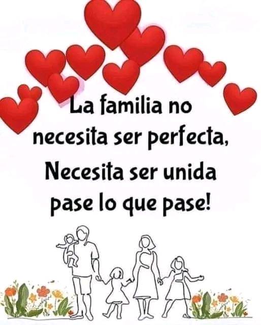 La familia no necesita ser perfecta, necesita ser unida pase lo que pase