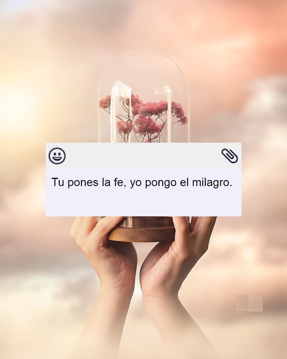Tu pones la fe, yo pongo el milagro