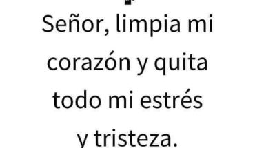 Señor, limpia mi corazon y quita todo mi estrés y tristeza. amén