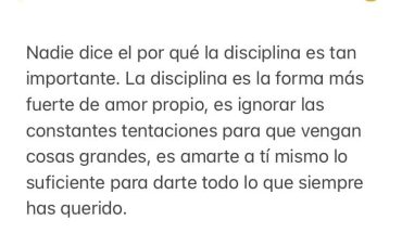 Nadie dice el por qué la disciplina es tan importante