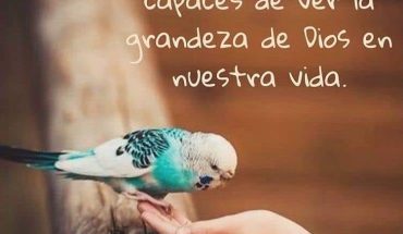 Que seamos siempre capaces de ver la grandeza de Dios en nuestra vida