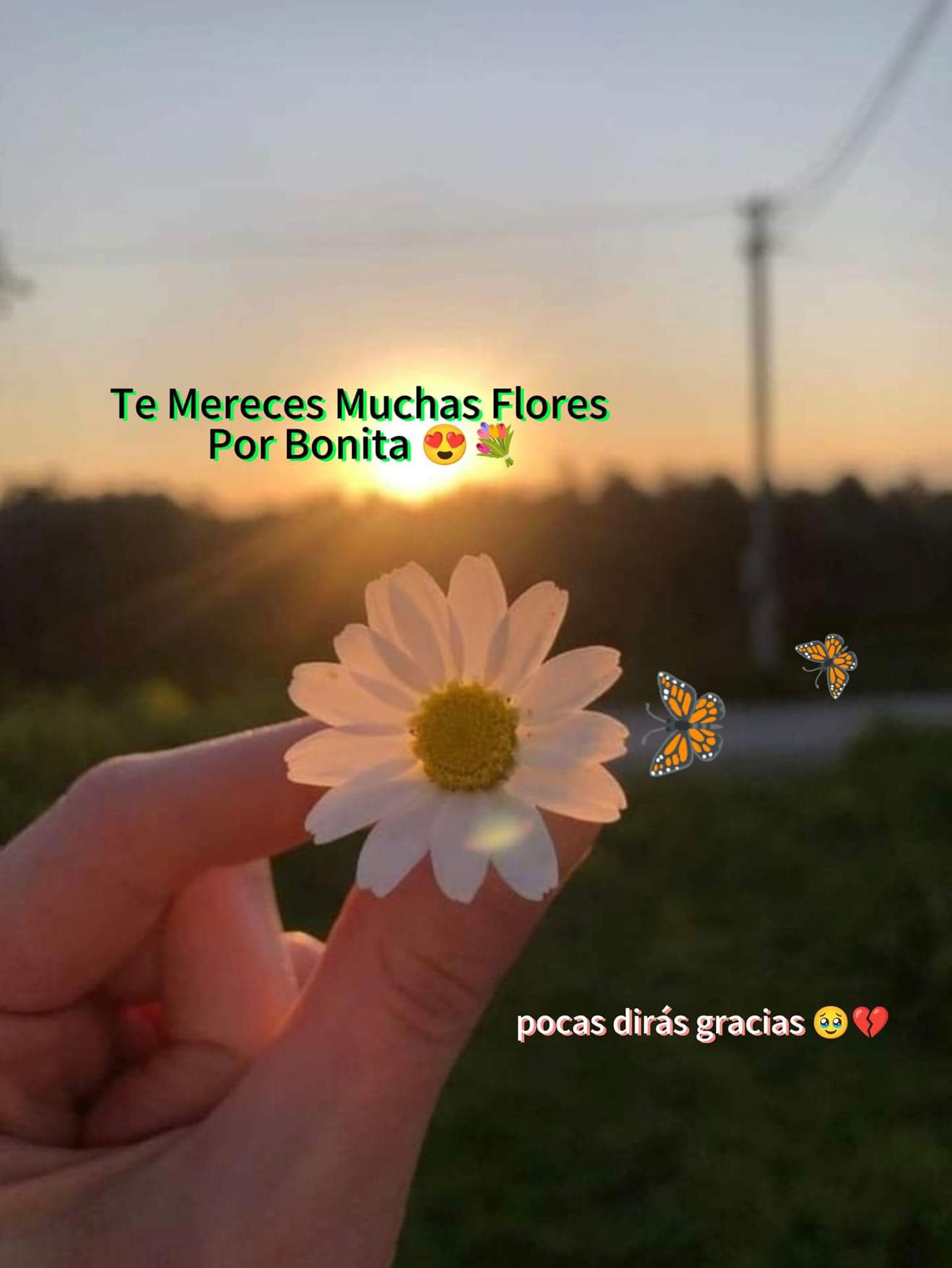 Te mereces muchas flores bonitas