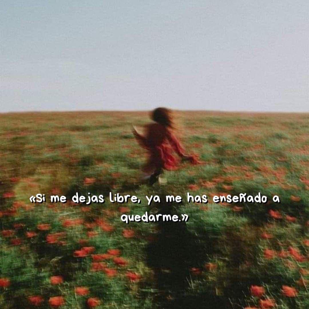 Si me dejas libre, ya me has enseñado a quedarme