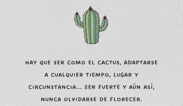 Hay que ser como el cactus, adaptarse a cualquier tiempo