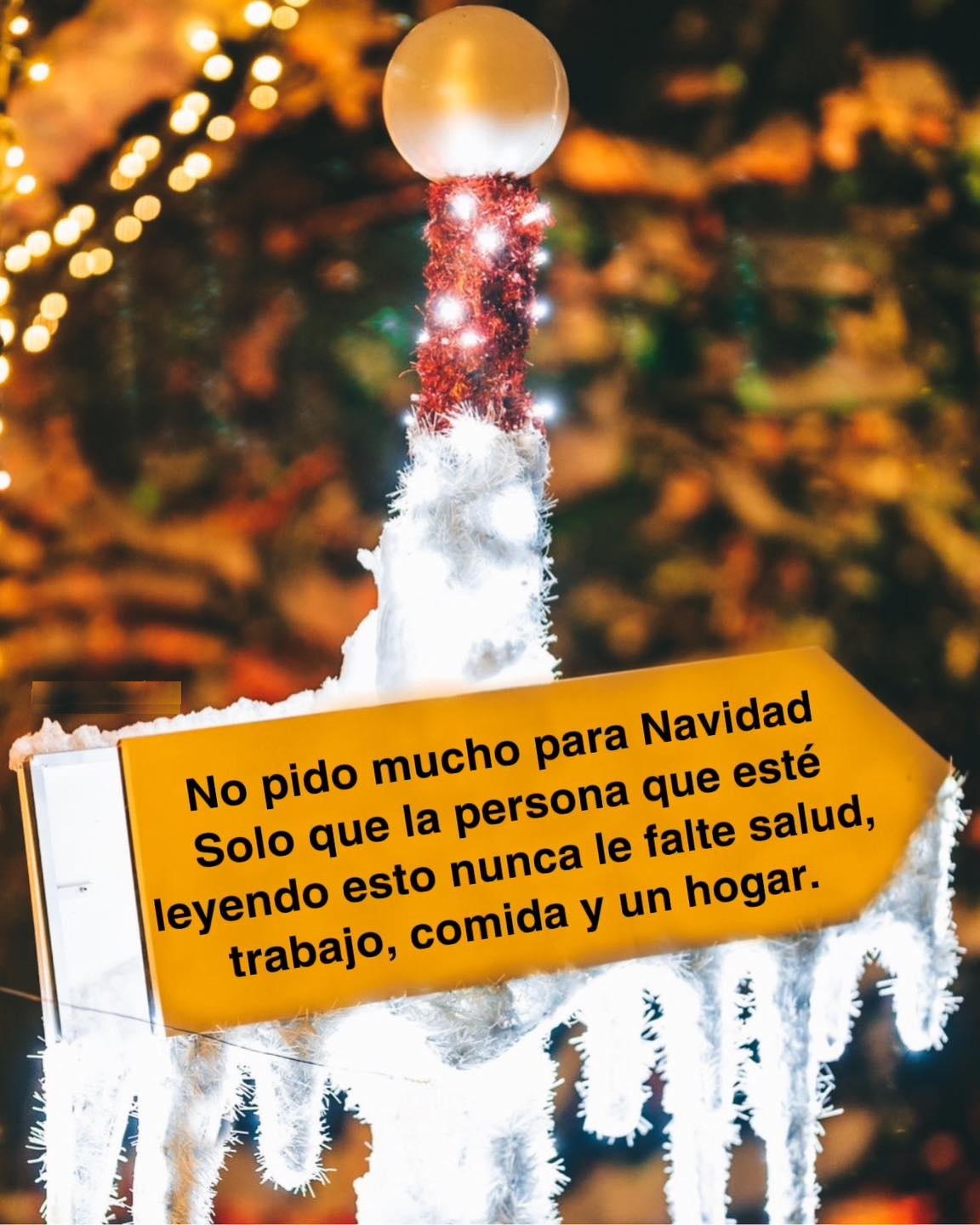 No pido mucho para navidad solo que la persona que esté leyendo esto nunca le falte salud