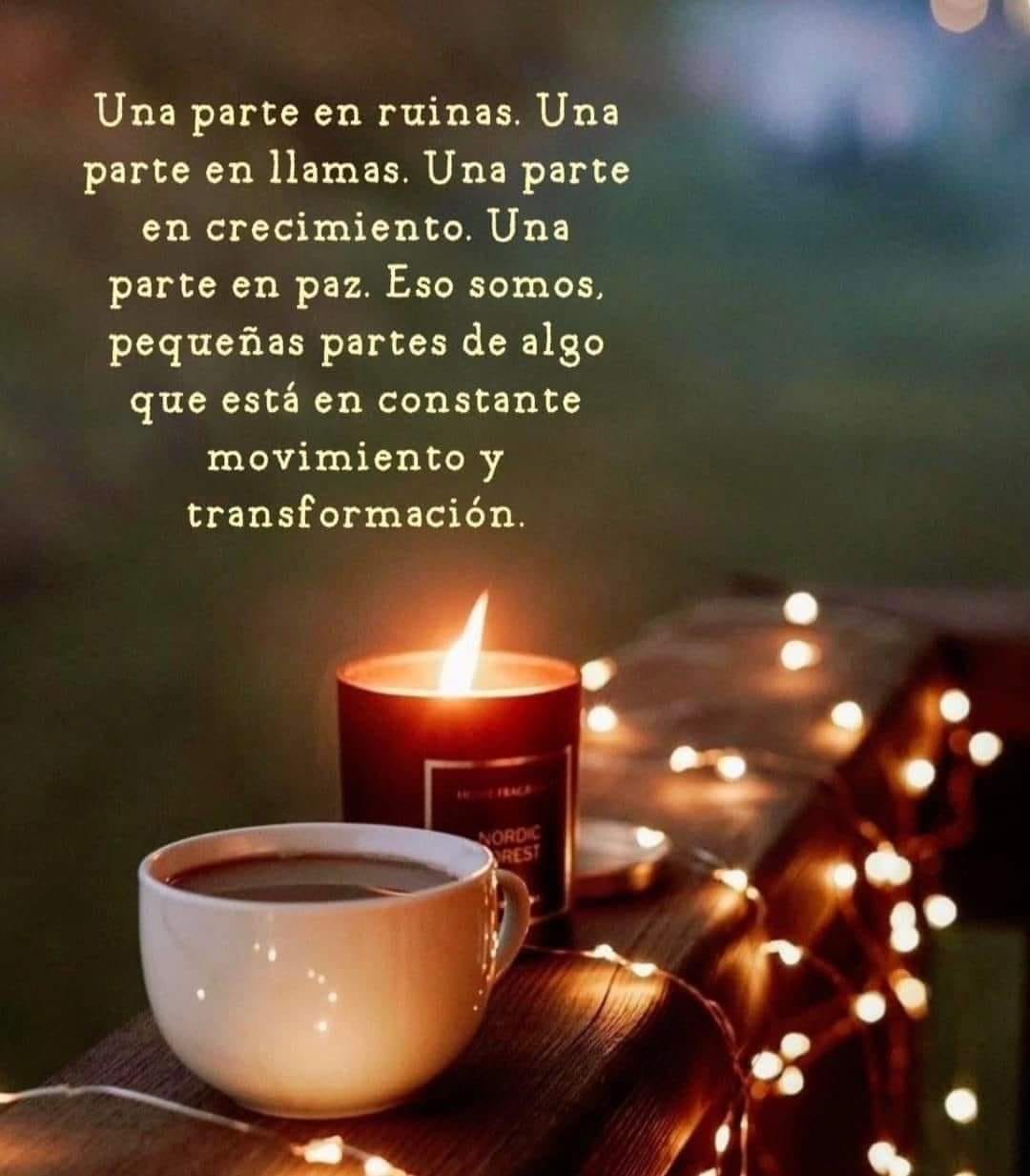 Una parte en ruinas. Una parte en llamas. Una parte en crecimiento. Una parte de paz