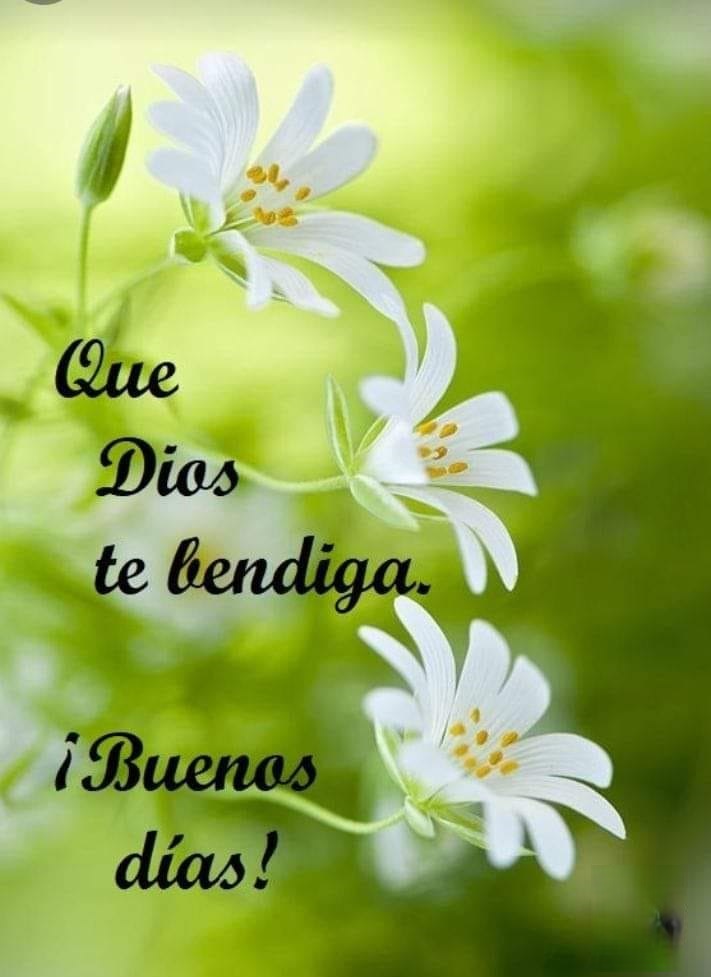 Que Dios te bendiga. ¡Buenos dias!