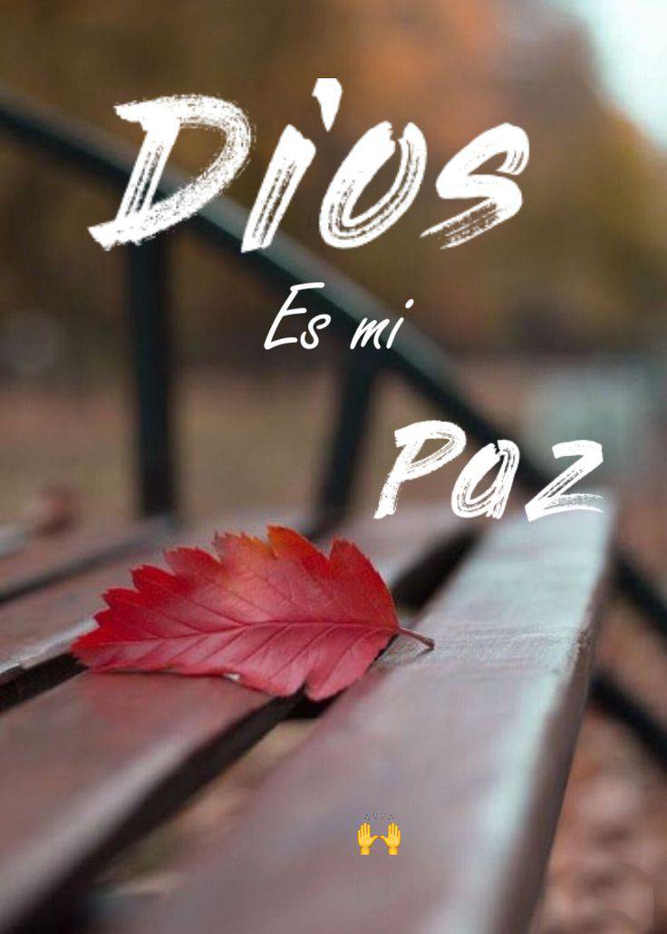 Dios es mi paz
