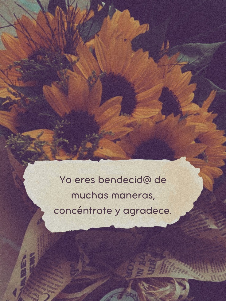 Ya eres bendecida de muchas maneras, concéntrate y agradece