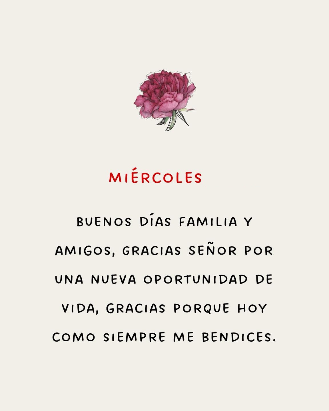 Miércoles Buenos días familia y amigos, gracias Señor por una nueva oportunidad