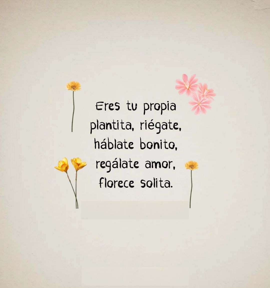 Eres tu propia plantita, reigate, hablate bonito, regalate amor, florence solita