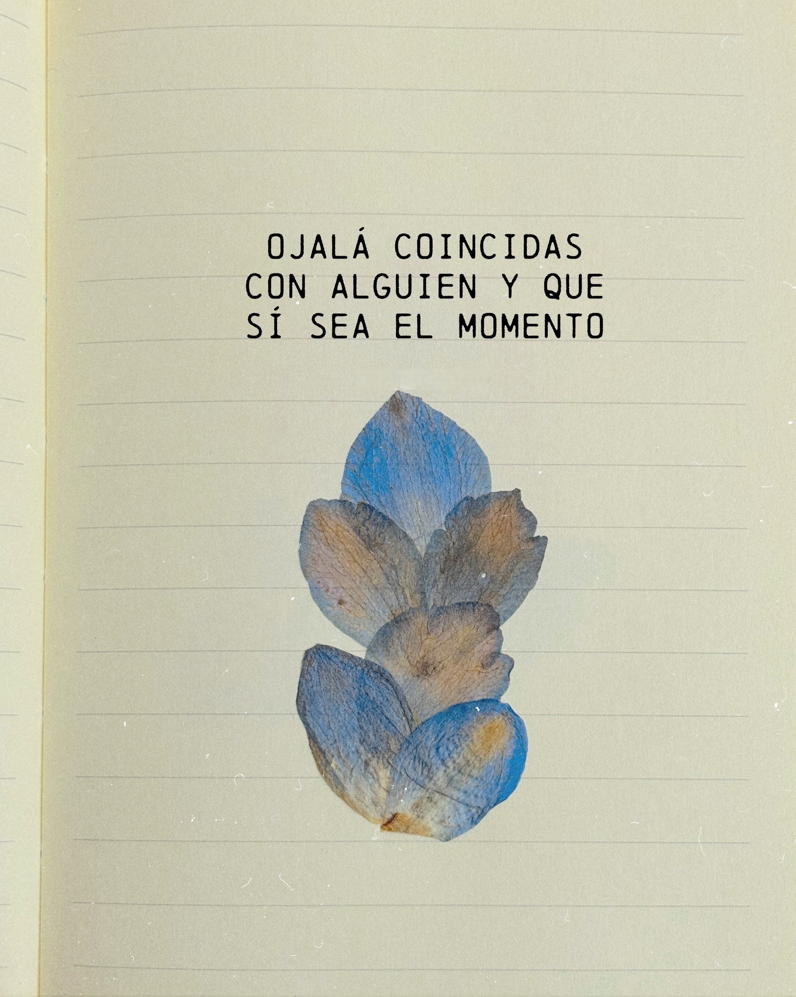Ojalá coincidas con alguien y si sea el momento