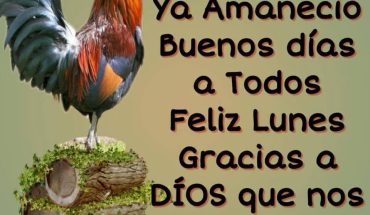 Ya amaneció  buenos días a todos Feliz Lunes