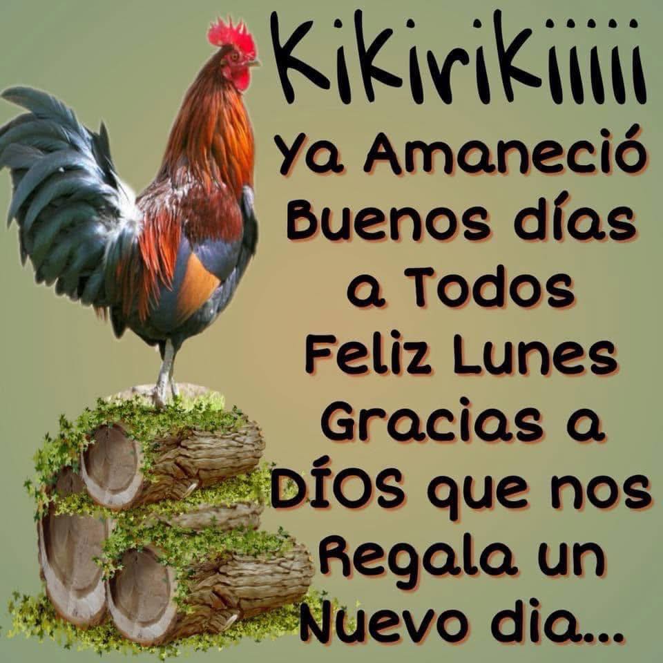 Ya amaneció  buenos días a todos Feliz Lunes