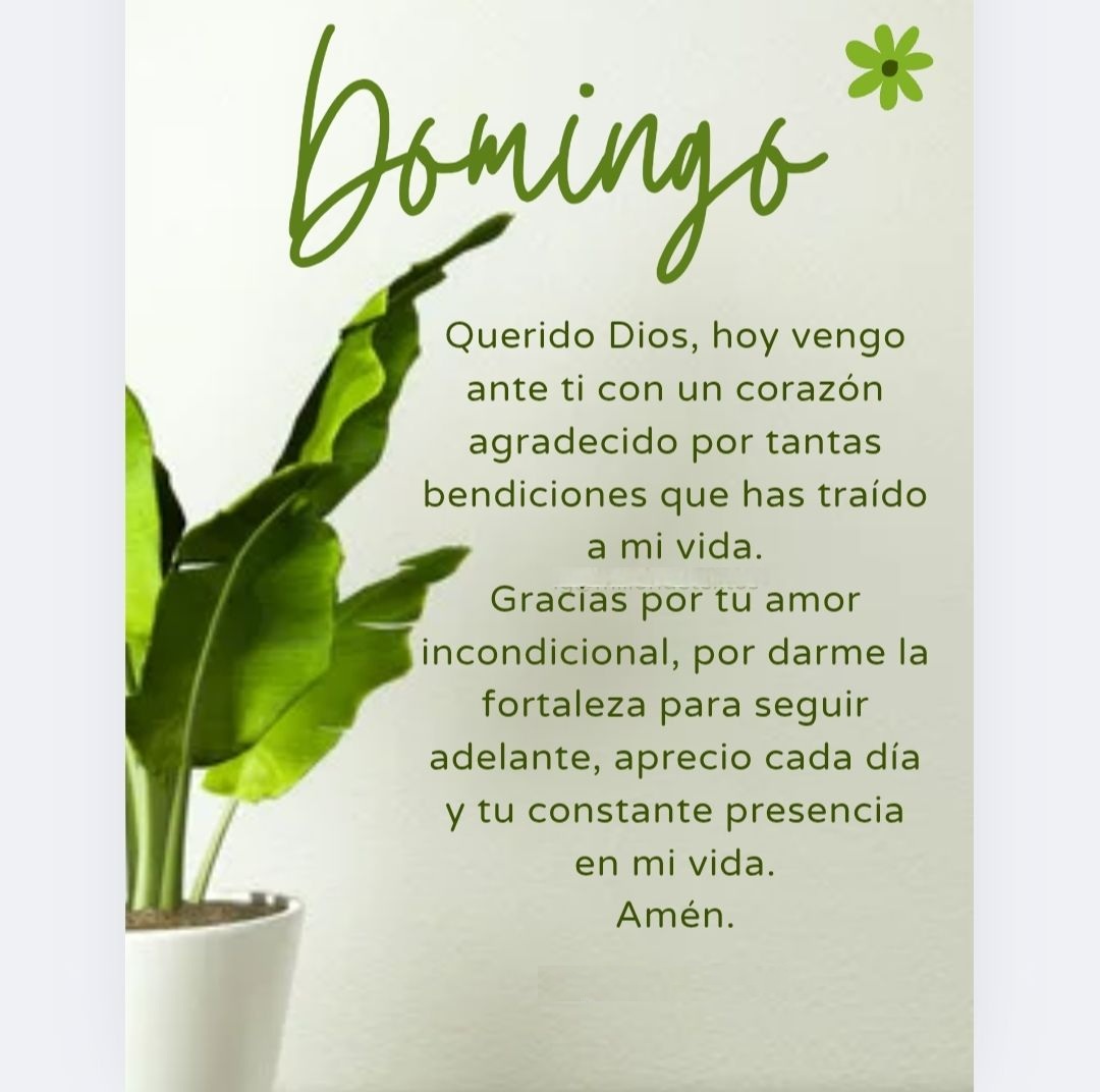 Domingo Querido Dios, hoy vengo ante ti con un corazón agradecido