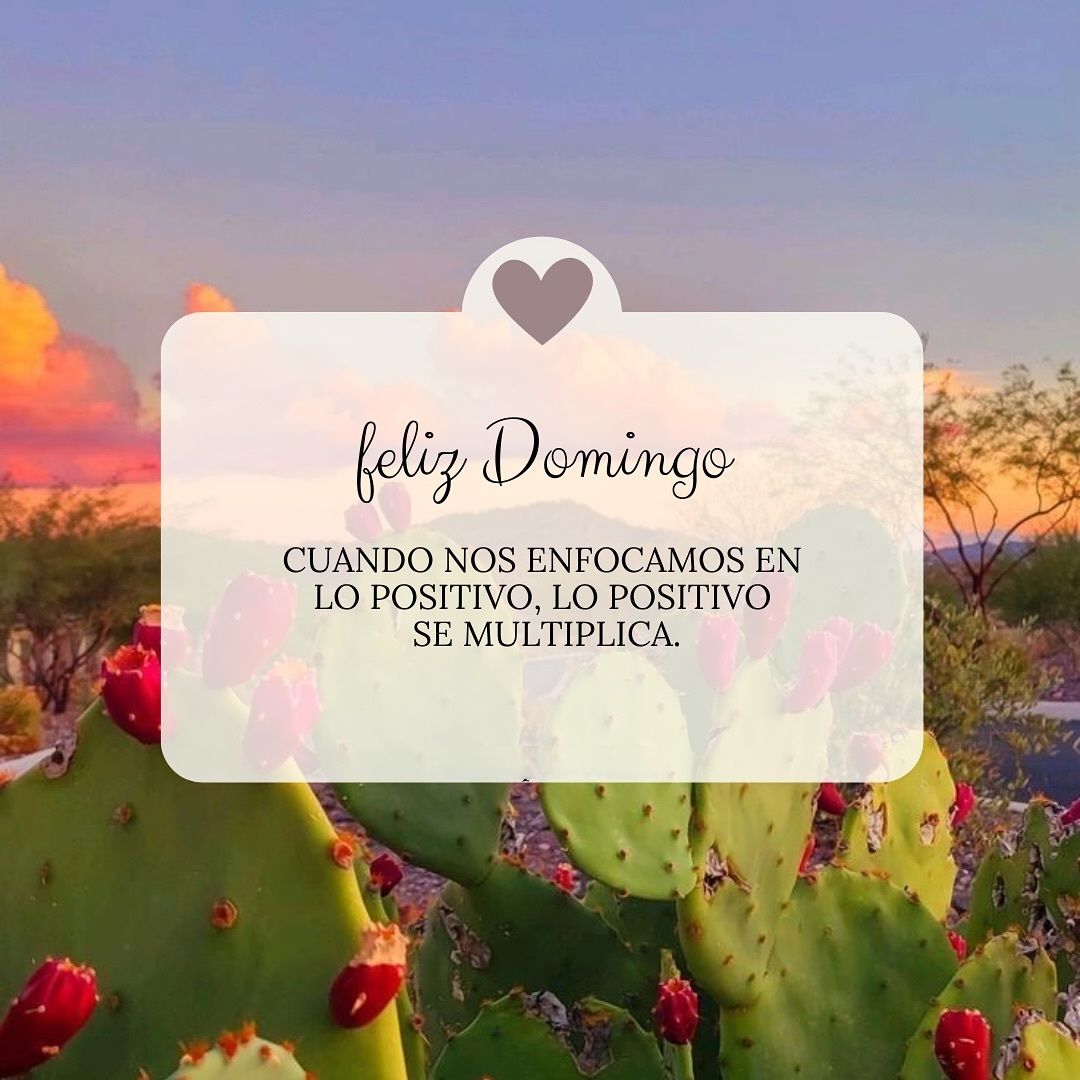Feliz Domingo Cuando nos enfocamos en lo positivo, lo positivo se multiplica