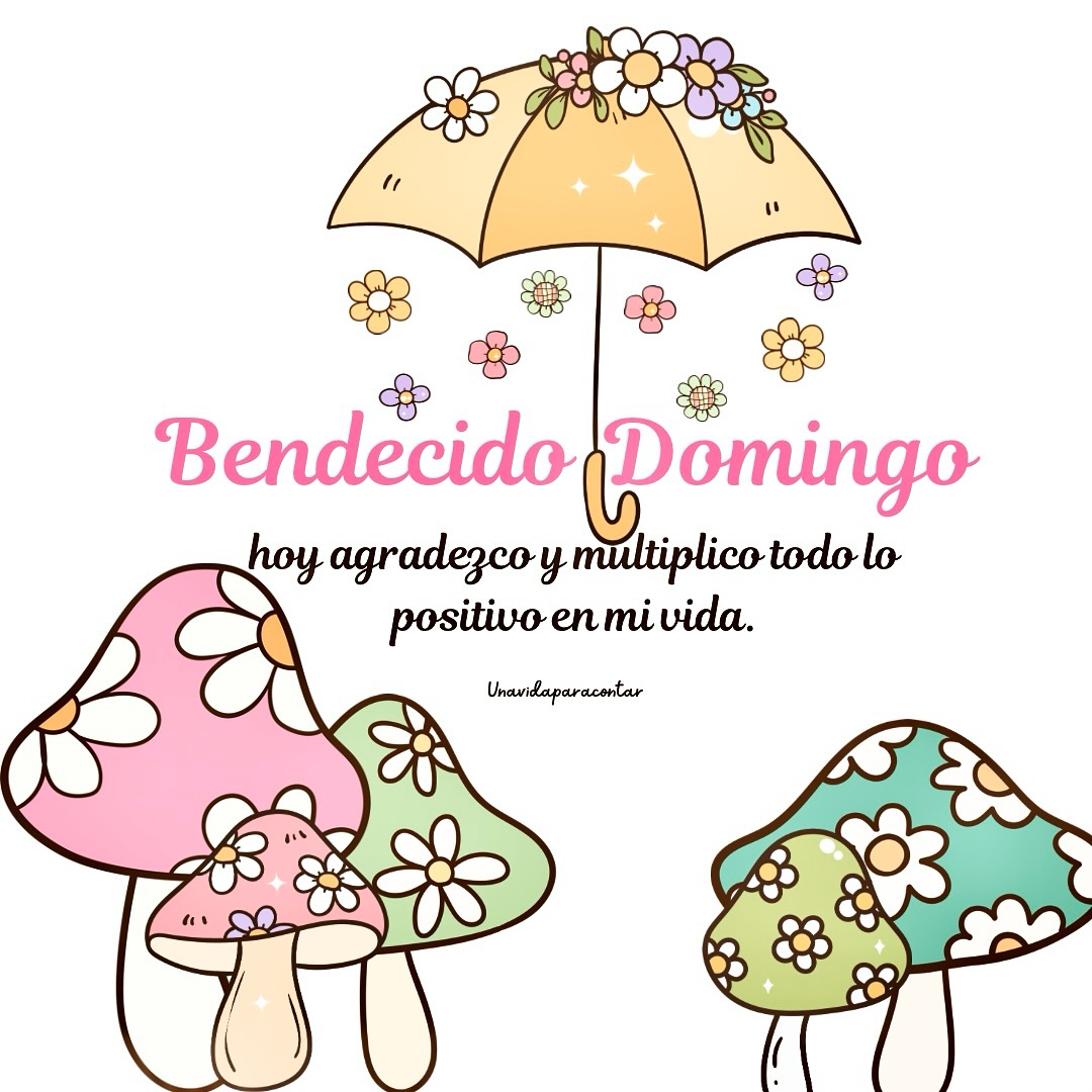 Bendecido Domingo Hoy agradezco  y multiplico todo lo positivo en mi vida