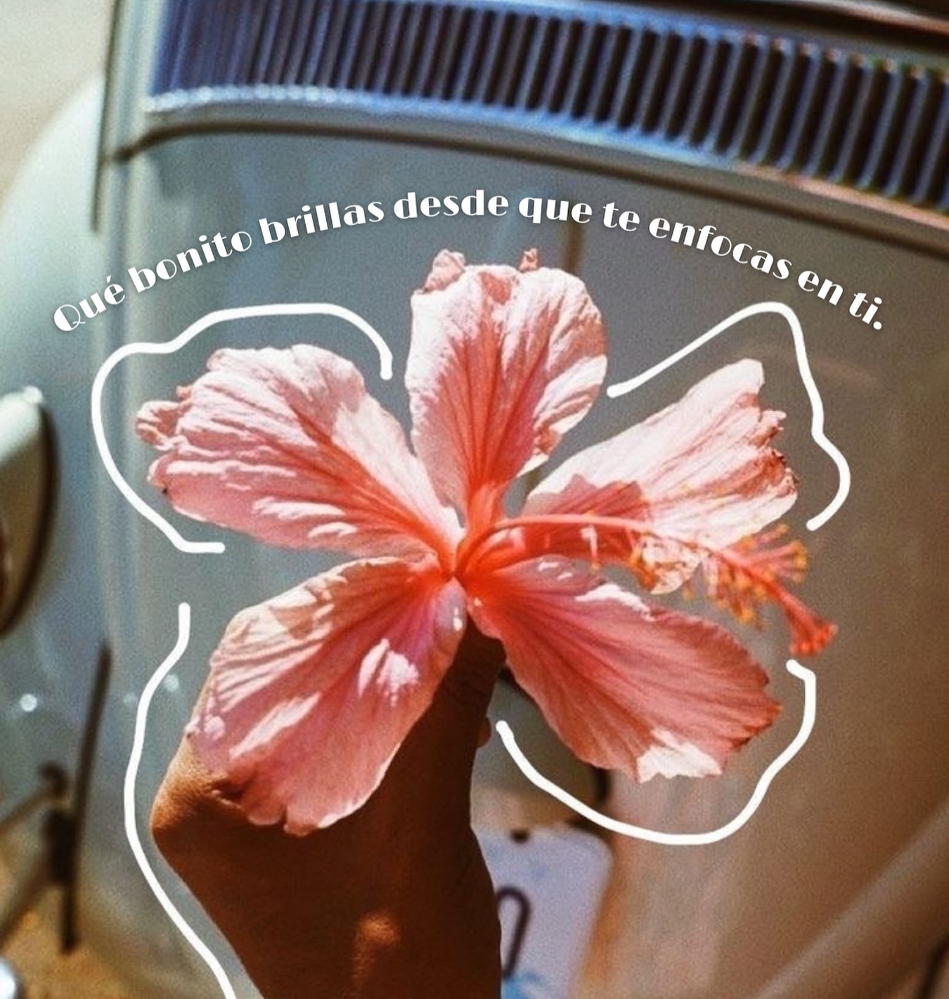 Que bonito brillas desde que te enfocas en ti