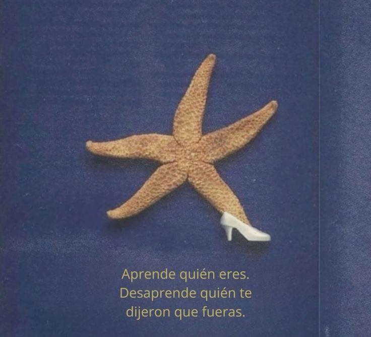 Aprende quién eres. Desaprende quién te dijeron que fueras