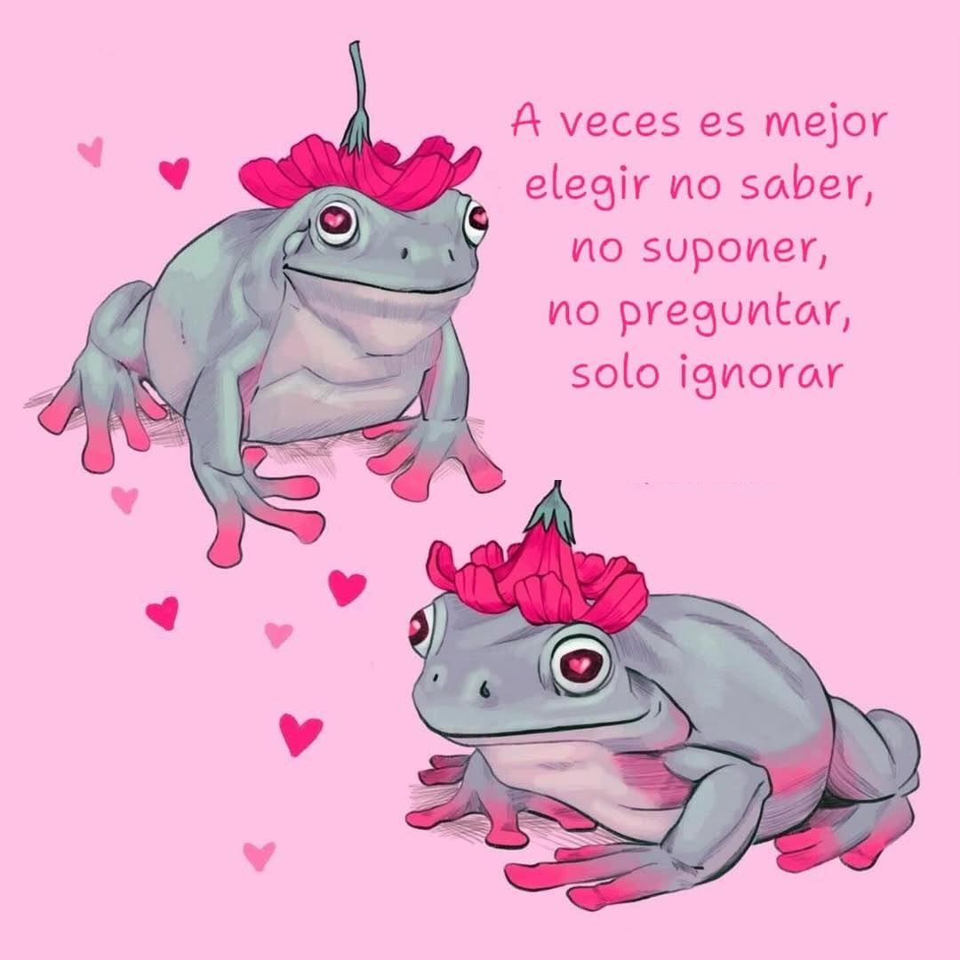 A veces es mejor elegir no sabe, no suponer, no preguntar solo ignorar