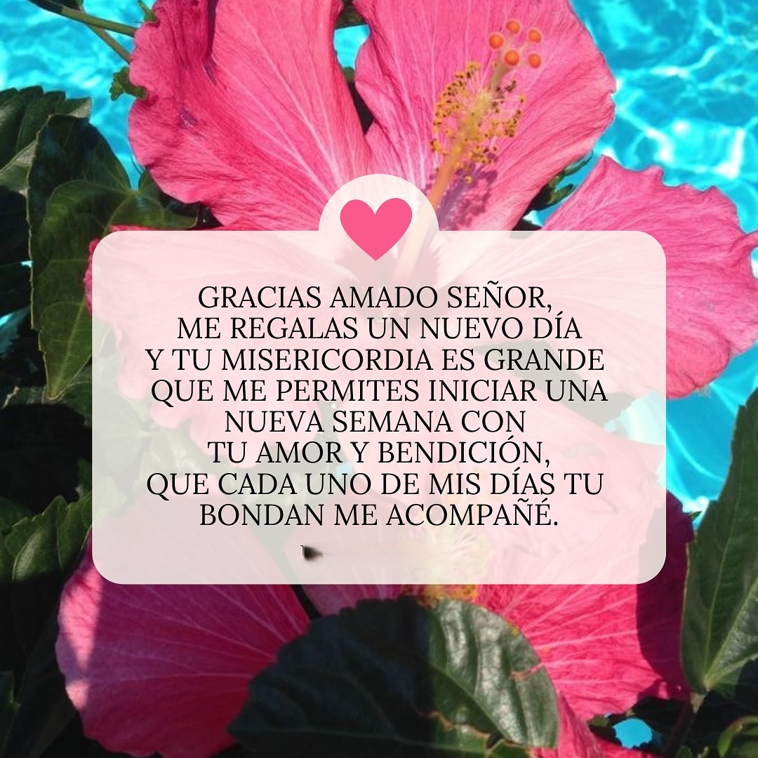 Gracias amado señor me regalas un nuevo día