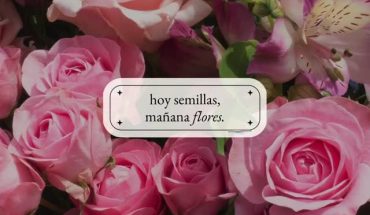 Hoy semillas. Mañana flores