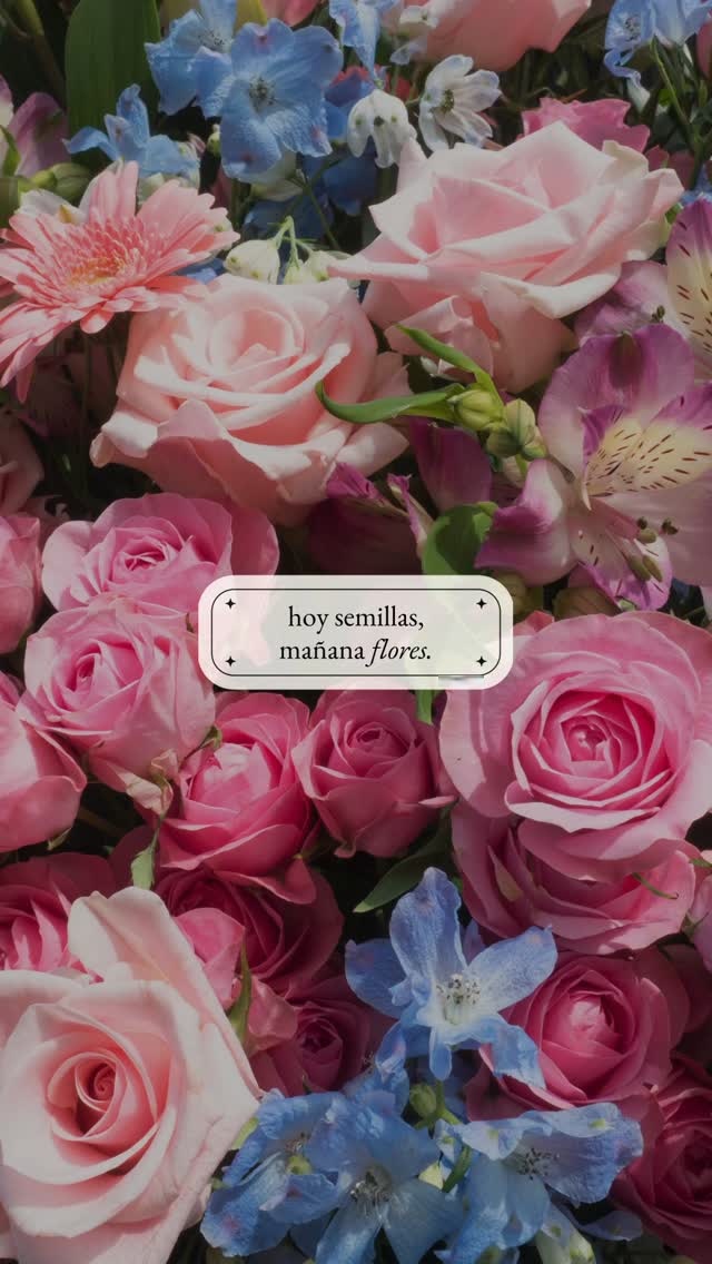 Hoy semillas. Mañana flores