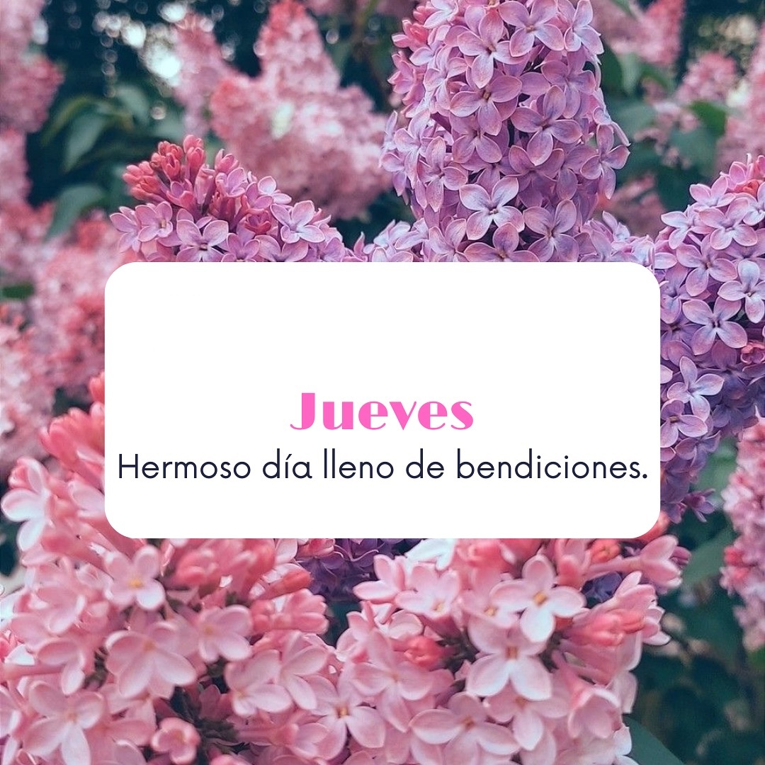 Jueves Hermoso día lleno de bendiciones