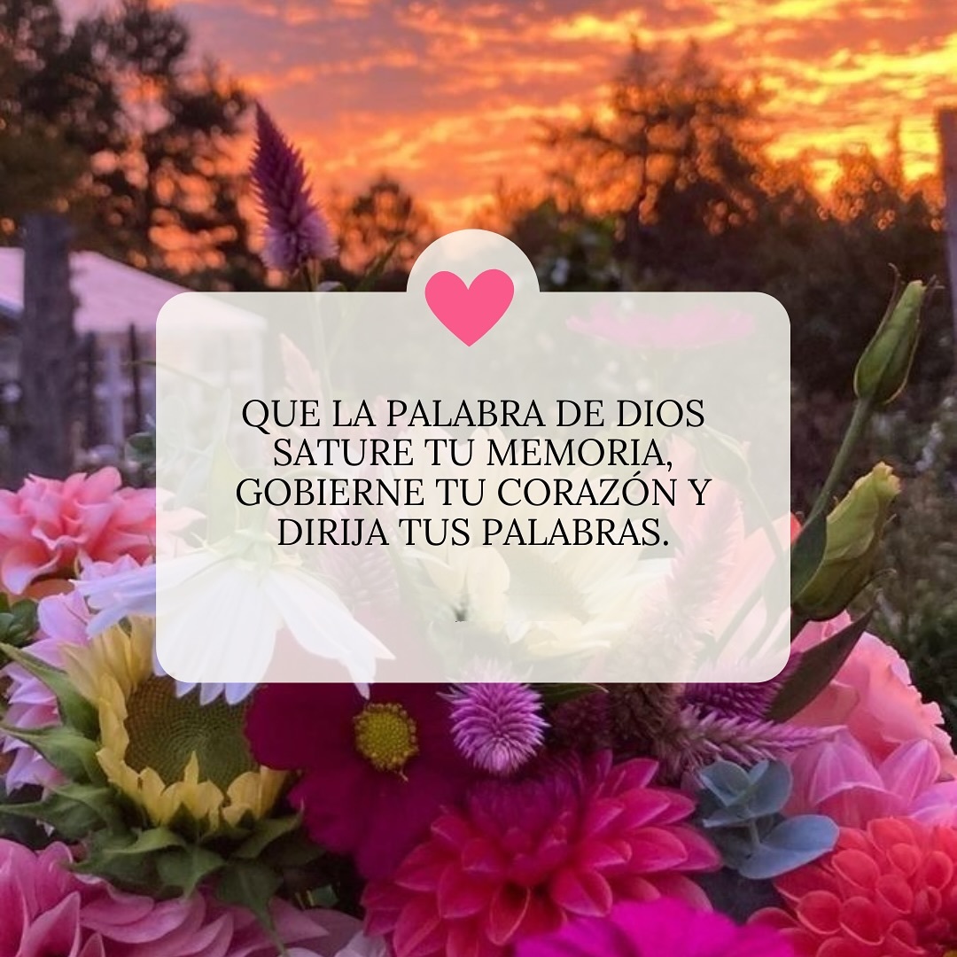Que la palabra de Dios sature tu memoria, gobierne tu corazón y dirija tus palabras
