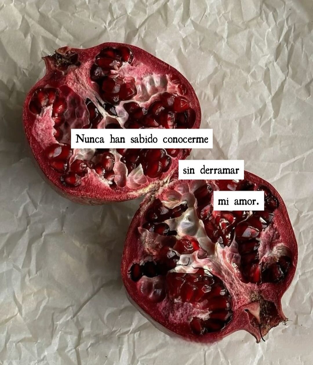 Nunca han sabido conocerme sin derramar mi amor