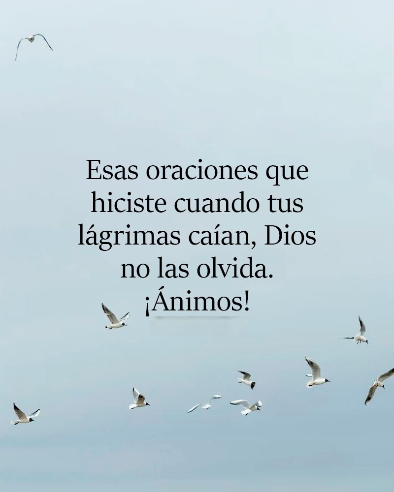 Esas oraciones que hiciste cuando tus lágrimas caían, Dios no las olvida. ¡Animo!